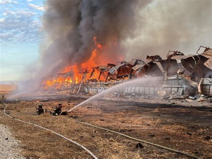
Bozrah Chicken egg farm fire: Investigation underway as 100,000 chickens reportedly die 