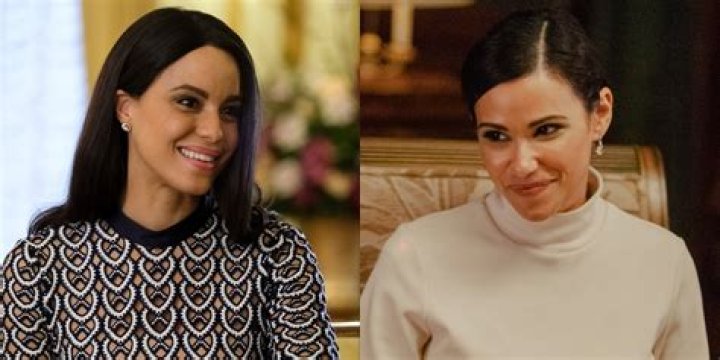 Is Araya Crosskill Married? His Bio, Age and Wife (Parisa Fitz-Henley)