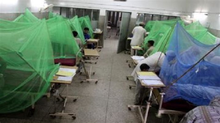 
Pakistan faces shortage of fever medicines amid dengue outbreak 